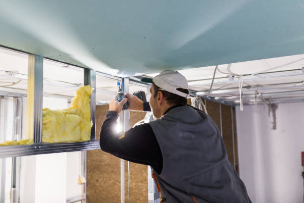 Best Insulation Inspection Services  in Nicoma Park, OK